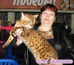 Храмова Ольга и бенгальский кот Дариус